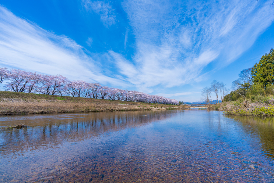 請戸川リバーライン