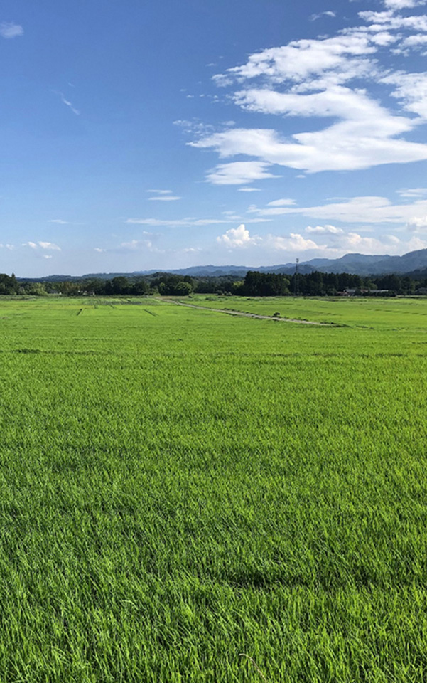 田園風景