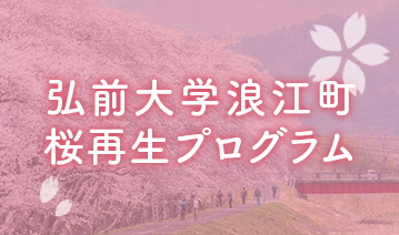 弘前大学桜再生プログラム