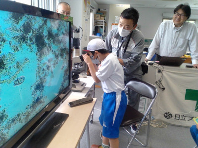 顕微鏡で微生物を見ている