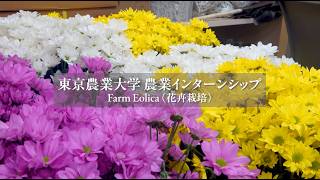 花作りの現場が、学びの舞台に。東京農業大学 × Farm Eolica【なみえチャンネル第466回】