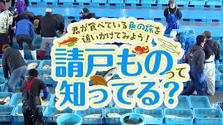 『請戸もの』って知ってる？〜君が食べている魚の旅を追いかけてみよう！【なみえチャンネル特別号】