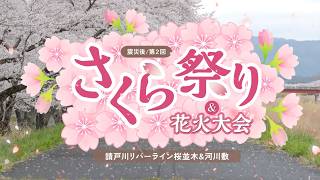 2026年も「さくら祭り」＆「花火大会」が開催されました🌸【なみえチャンネル第461回】