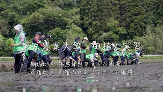 田植えは、つながりの種まき。今年も東京農業大学の学生が浪江町へ！！【なみえチャンネル第　回】