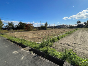 地323　写真