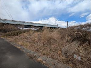 地334　写真