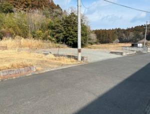地338　写真