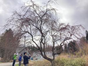 写真撮影会