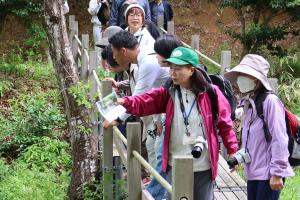 ウォーキング大会の参加者