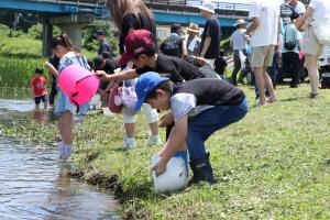 アユの稚魚放流体験