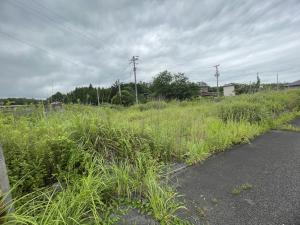 地342　写真