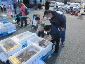 昨年度のおさかな水族館写真