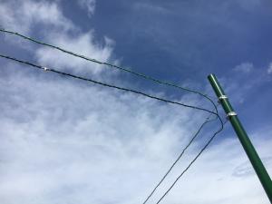 水素関連事業者多数