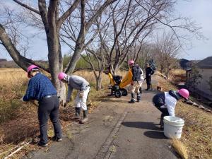 請戸川リバーライン桜の手入
