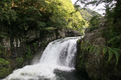 夏の不動滝