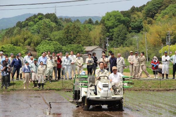 浪江町内で4年ぶりの田植