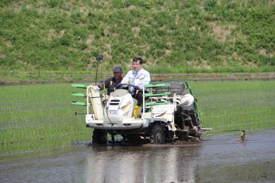 総長田植え