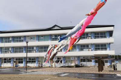 なみえ創成小・中学校鯉のぼり