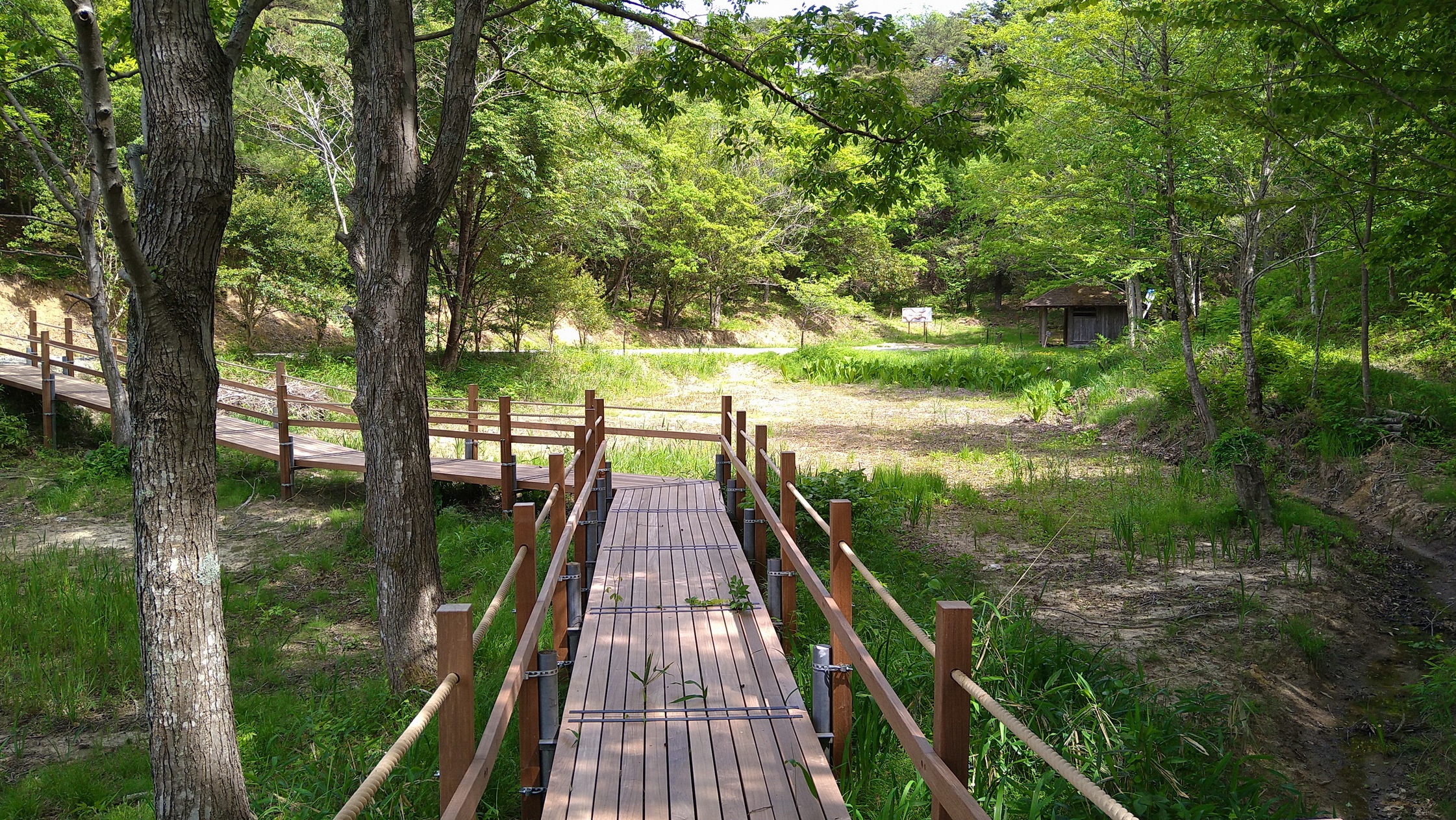 いこいの村遊歩道