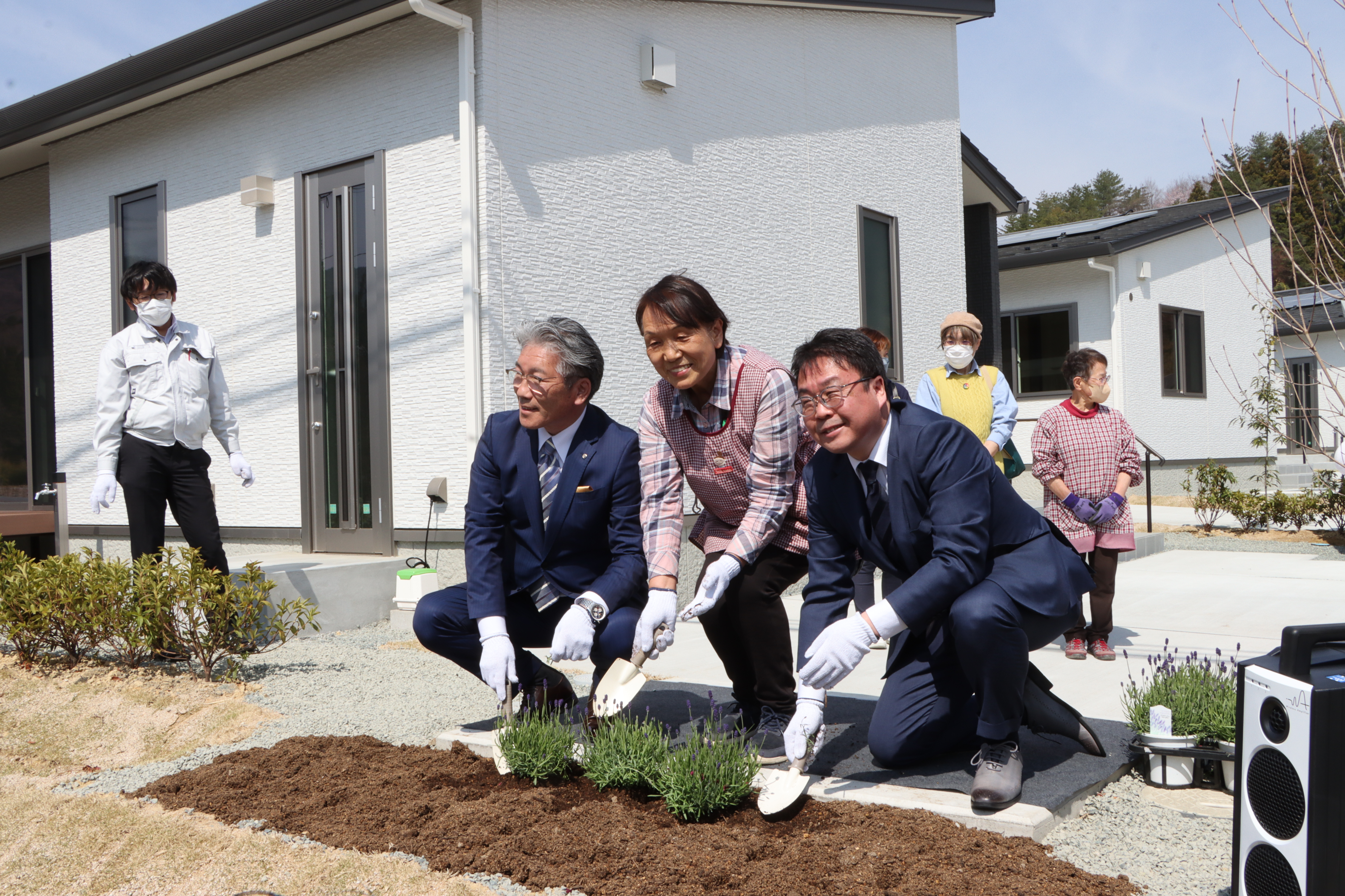 ラベンダー定植の様子