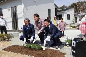 ラベンダー