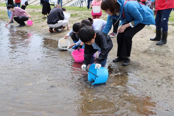 あゆ稚魚放流の様子