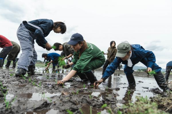 田植えに初挑戦（南棚塩地区）