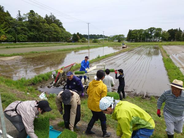 田植えのお手伝い（苅宿地区）