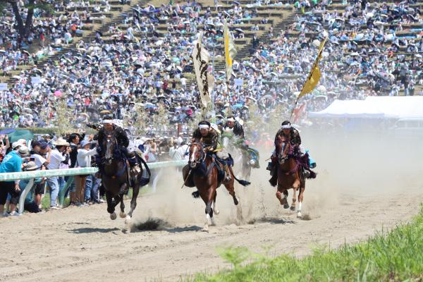 甲冑競馬③