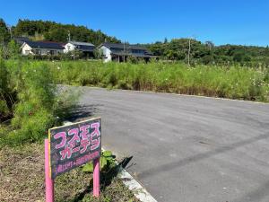 コスモスガーデン①　6月9日.25撮影