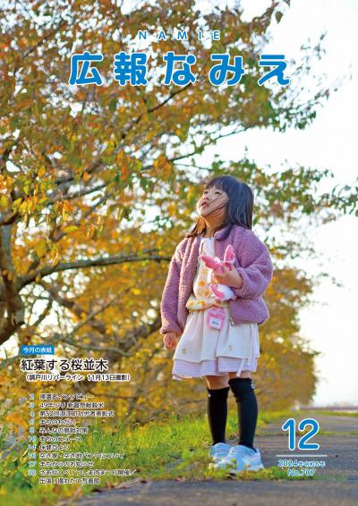 広報なみえ１２月号表紙